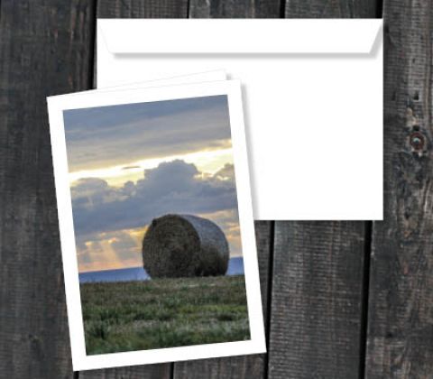 Halmballe ved skrænt