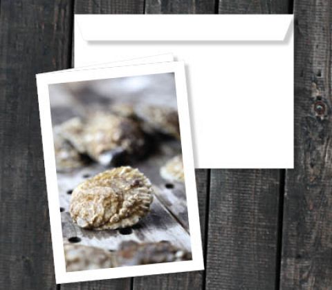 Østers fra Limfjorden