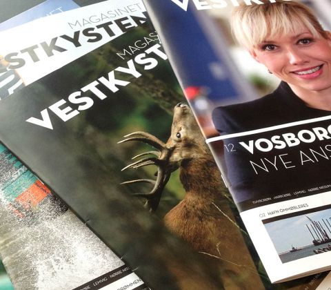 Magasinet LEMVIG 04.14