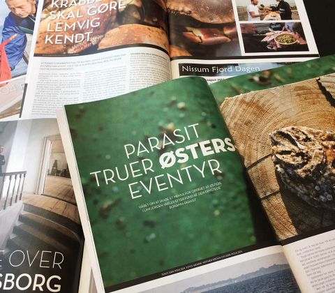 Magasinet LEMVIG 04.14