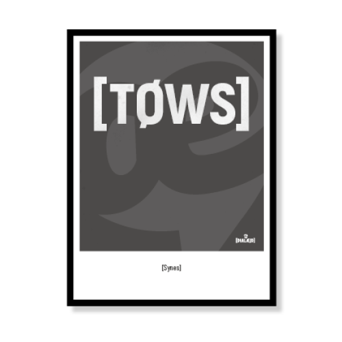 [Tøws] Synes 