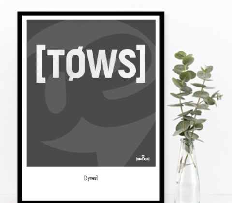 [Tøws] Synes 