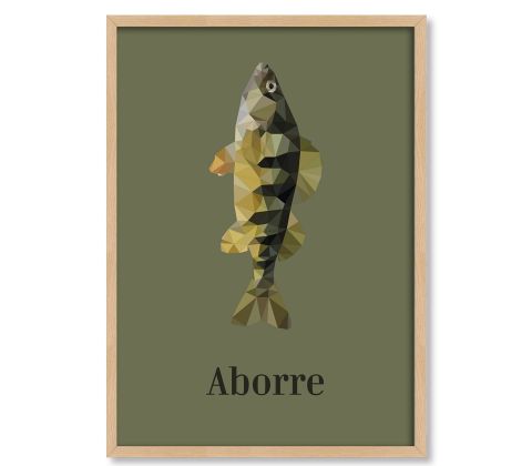 Aborre