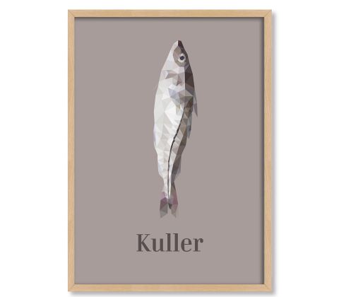 Kuller