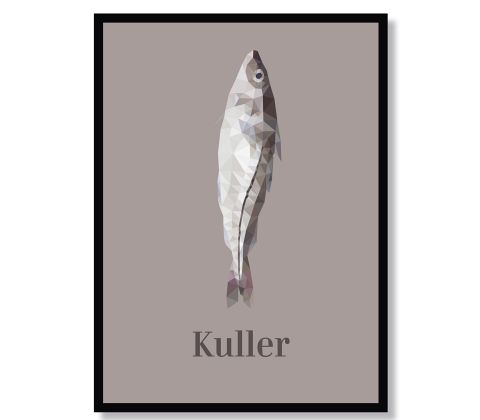 Kuller