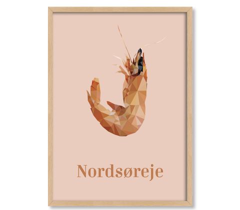 Nordsøreje