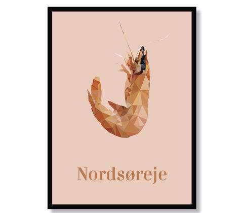 Nordsøreje