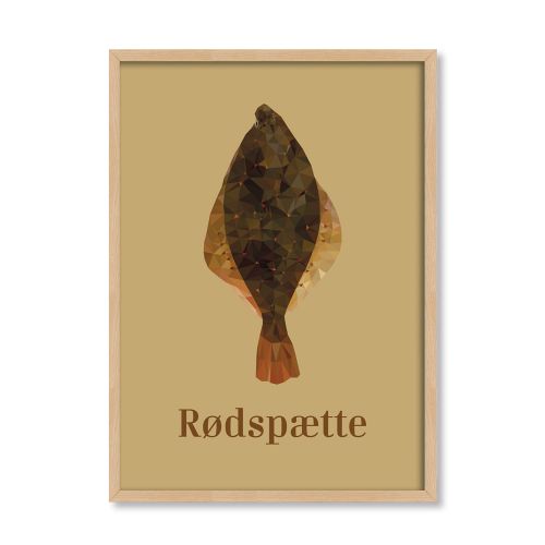 Rødspætte