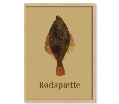 Rødspætte
