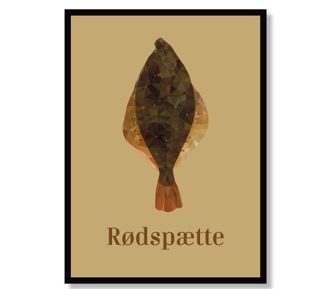 Rødspætte