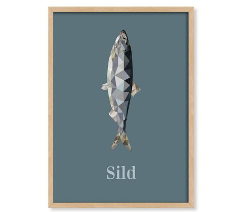Sild