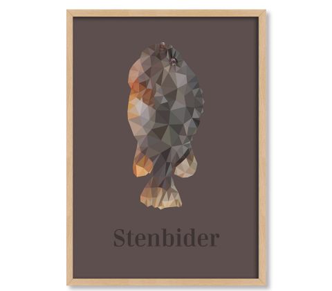 Stenbider