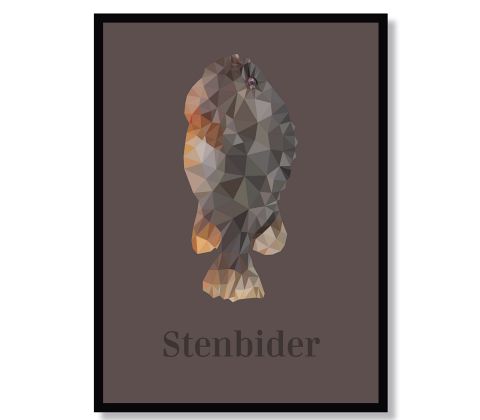 Stenbider
