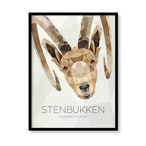 Stjernetegn - Stenbukken