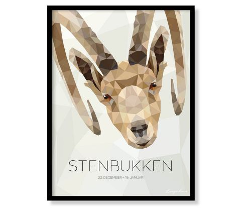 Stjernetegn - Stenbukken