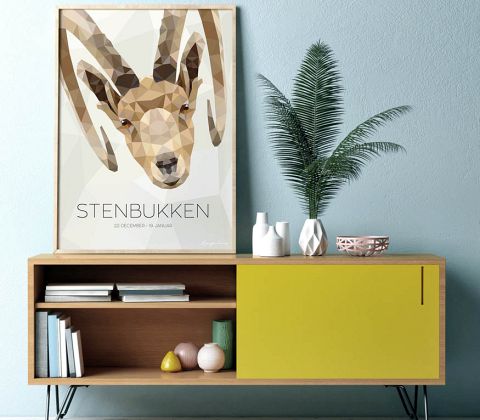 Stjernetegn - Stenbukken