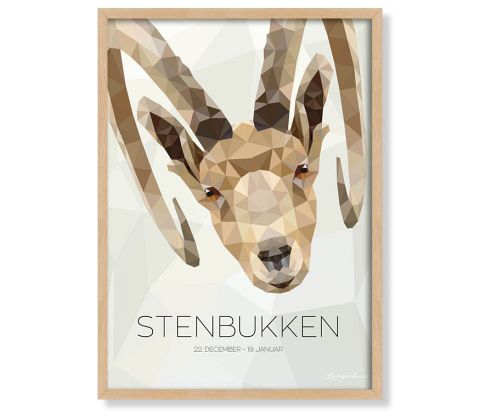 Stjernetegn - Stenbukken