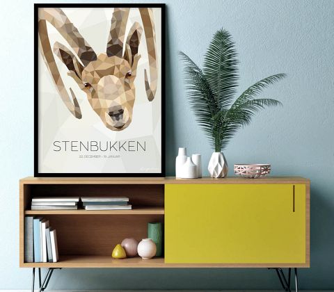 Stjernetegn - Stenbukken