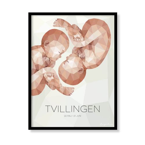 Stjernetegn - Tvillingen