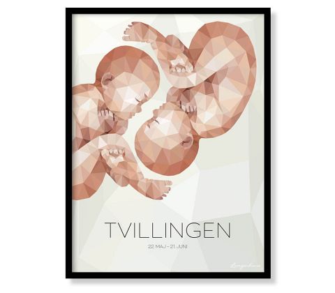 Stjernetegn - Tvillingen