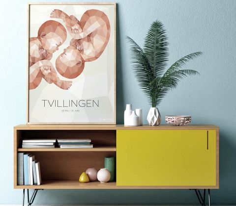 Stjernetegn - Tvillingen