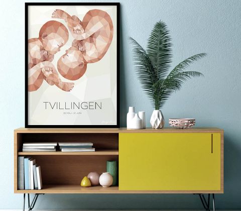 Stjernetegn - Tvillingen