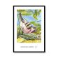 Fugl