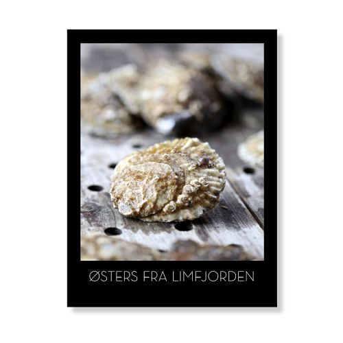 Østers fra Limfjorden