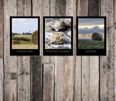 Østers fra Limfjorden