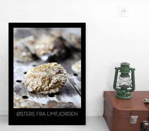 Østers fra Limfjorden