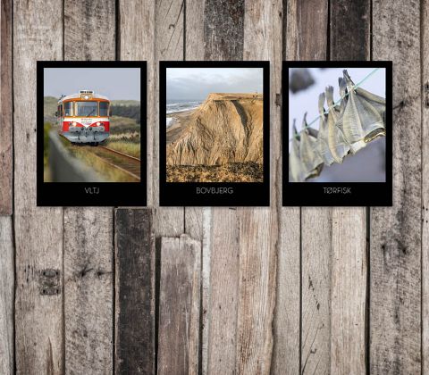 Skrænten ved Bovbjerg Fyr